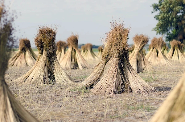 Linnen - 100% natuurlijk product